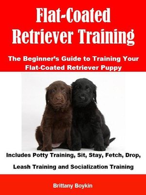 cover image of Flat-Coated Retriever Training